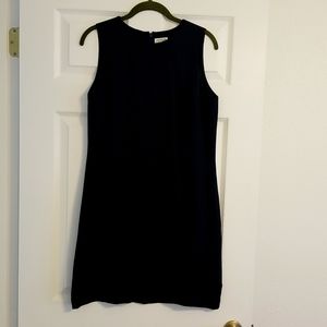Ann Taylor LOFT Navy Blue Silk Dress